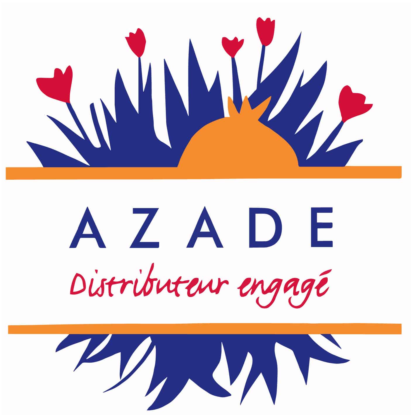 https://www.autonomieetsolidarite.fr/app/uploads/2024/02/Logo-azae-vectorise-sans-pixels.jpg